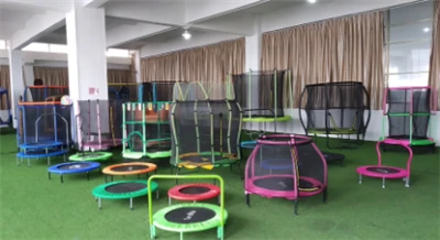Trampoline Sample Roon